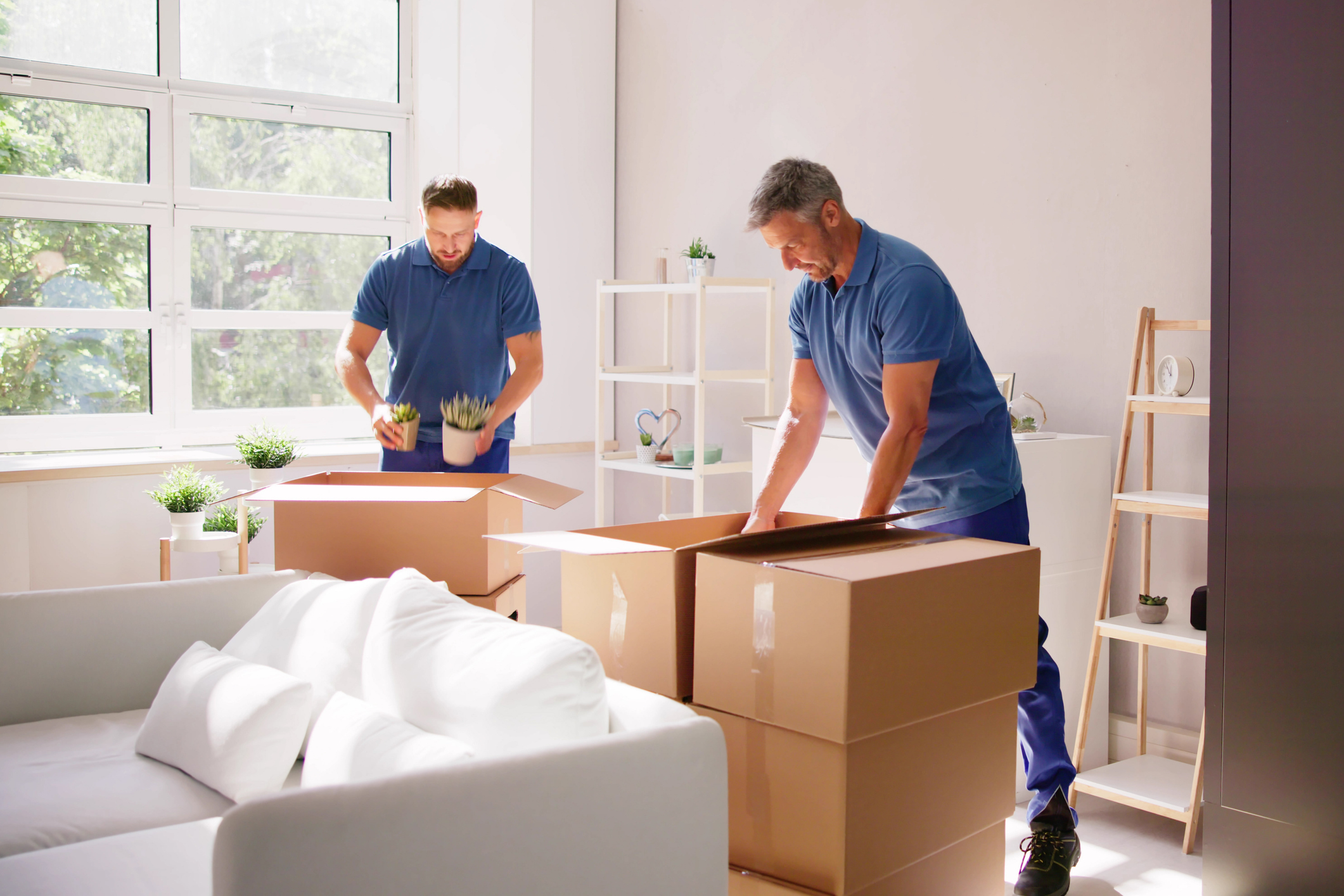 Blue Star Movers Company